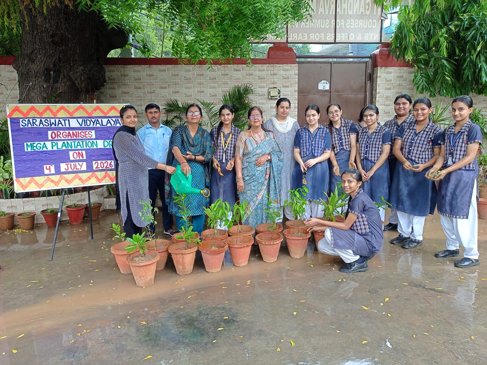 MEGA-PLANTATION-26
